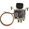 178T24 Freeze Protection Thermostat