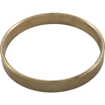 16830-0120 Wear Rng Csp Pmp Vlt