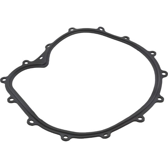 711-2610 Faceplate Gasket Big Red Pump