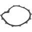 711-2610 Faceplate Gasket Big Red Pump