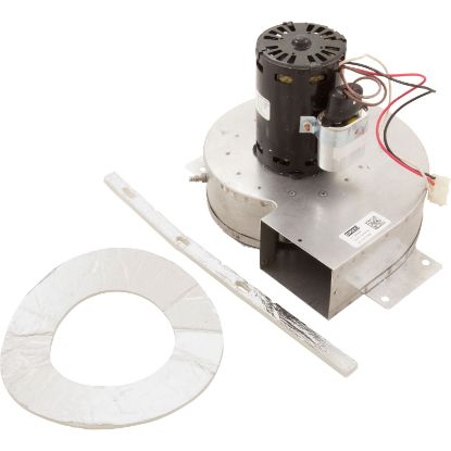 IDXLBWR1931 Combustion Blower110V