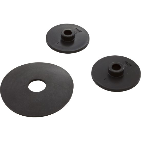 RGX55PA Piston Hayward RegenX