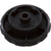 RGX45K Piston Knob Hayward RegenX RG450
