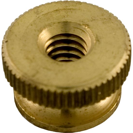 58001100 Nut Pentair American Products 1/4-20 Brass