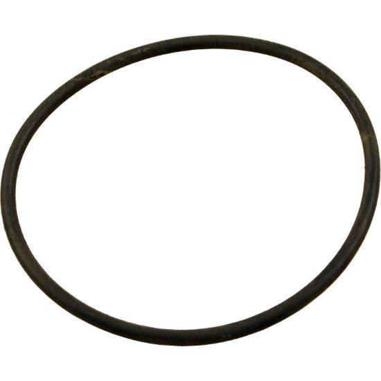 DEX360M O-Ring Hayward Swimclear/StarClear Bulkhead O-255