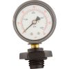 24850-0105 Pressure Gauge AssyPentairSystem 31/4