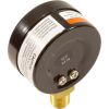  Pressure Gauge 1/4