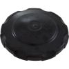 550-3611 Tank Lid Waterway 5.5" Top Load Filter w/O-Ring