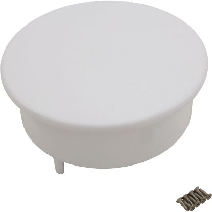 R172542WH NicheFilterRainbow/PentairTop Loadw/Flat LidWhite