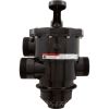 263085 Multiport Valve Pentair TA60SD80CFII26 TM 2