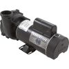3411621-1A Pump WW Exec 4.0SPL 230v 1-Spd 48fr 2