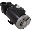 3M21621-1WHZN Pump WW EX2 3.0hp US Motors 230v 2-Spd 2