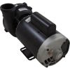 3721221-1DHZW Pump WW Exec 3.0hp Century 230v 2-Spd 56fr 2