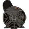 3421821-13HZN Pump WW Exec 4.0hp USMotor 230v 2-Spd 48fr 2-1/2