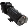 3421821-13HZN Pump WW Exec 4.0hp USMotor 230v 2-Spd 48fr 2-1/2