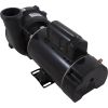 3420610-13HZN Pump WW Exec 1.5SPL USMotor 115v2-Spd48fr 2-1/2