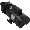 3421221-10HZW Pump WW Hi-Flo 3.0SPL Century 230v 2-Spd 48fr 2