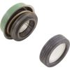 U109-136SS Shaft Seal Pentair 5/8