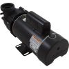 1014232HZW Pump Ultima 3.0SPL Century 230v 2-Spd 48fr 2