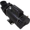 1014054-2HZN Pump BWG Vico Ultima 1.5hp US Motor 115v 2-Spd 48fr 2