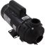  Pump Ultima1.5hp Century 115v2-Spd48fr1-1/2