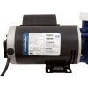 0800-390005 Pump Aqua Flo Maelstrom 2.0hp 230v 2-Spd 56fr 2