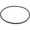 356780 O-Ring Pent EQ SeriesSeal Plate11"ID 3/8" Cross Section