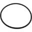 39300300 O-Ring Pentair American Products Bronze/UltraFlow Trap Lid