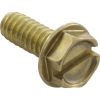 98215100 Screw Pentair American Products 10-24 x 1/2