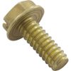 98215100 Screw Pentair American Products 10-24 x 1/2