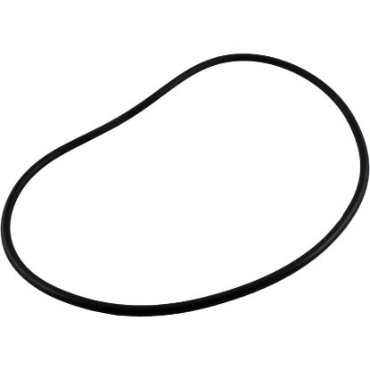 R0480300 O-Ring Zodiac Jandy FHPF Seal Plate O-465