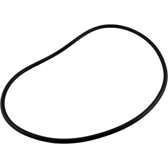 R0480300 O-Ring Zodiac Jandy FHPF Seal Plate O-465