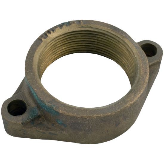 070903 Flange Pentair Minimax In/Out Brass