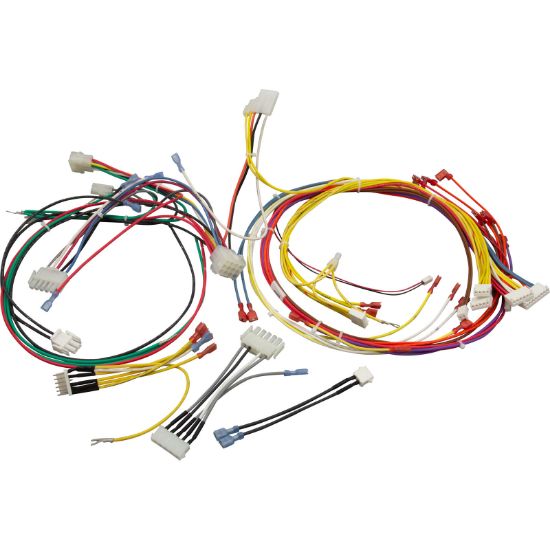 461107 Wire Harness Pentair MasterTemp 125 120/240v