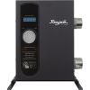 017121 Digital Electric Heater Raypak E3T 1-1/2" mpt 230v 5.5kW