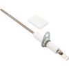 100165921 Flame Sensor Lochinvar With Gasket