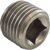 501329 Header Plug Raypak 55B