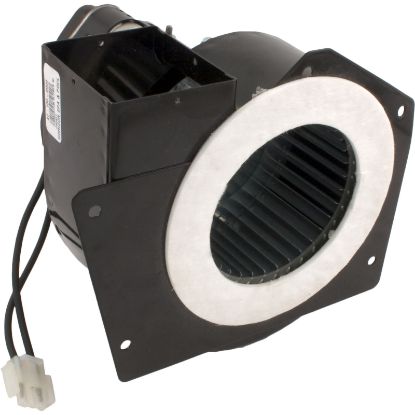IHXBWR1930 Blower Hayward H-Series with Gasket