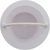 513330 Basket Skimmer OEM Pentair HydroSkim