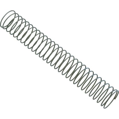 S0061400+ Bypass Spring Zodiac Jandy Laars EPC/ESC/EPG 175 btu