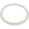 711-6910 Gasket O-Ring Waterway Mini Storm