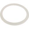 711-6910 Gasket O-Ring Waterway Mini Storm