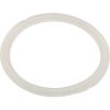 711-6910 Gasket O-Ring Waterway Mini Storm