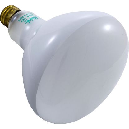 R40FL300/12V Replacement Bulb Flood Lamp 300w 12v