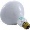 R40FL300/12V Replacement Bulb Flood Lamp 300w 12v