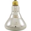 104026 Repl Bulb Pent AmerLite Flood12v100W BR30CL100/12V Gen