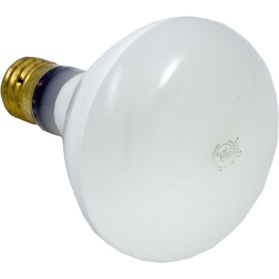 SPX0504Z4 Replacement Bulb Hayward SP0503 SP0504 115v 500w