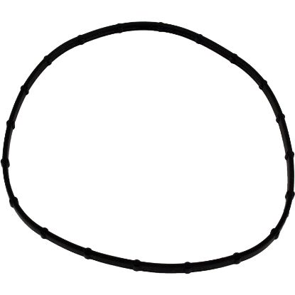 05101-0002 Light Lens Seal Sta Rite Sunsaver Post-1999