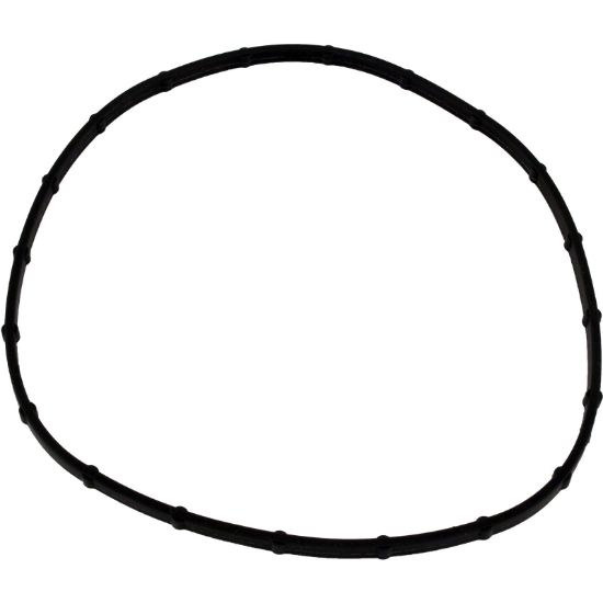 05101-0002 Light Lens Seal Sta Rite Sunsaver Post-1999