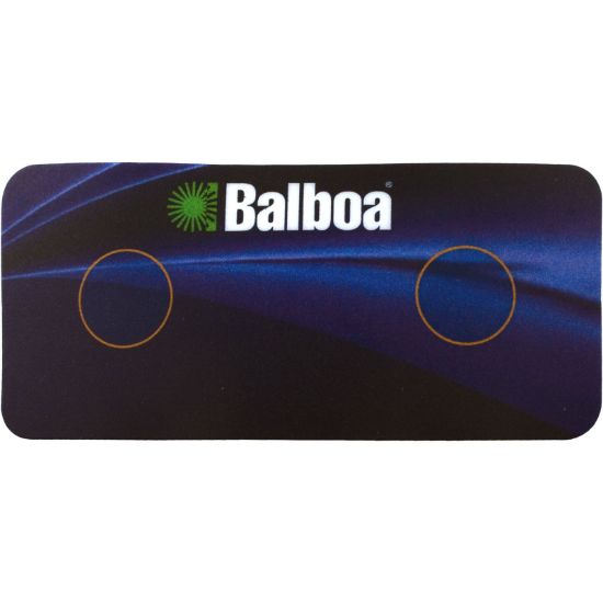 10318 Overlay Balboa Water Group Duplex 2 Button Aux
